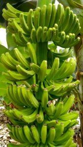 IMG_20170906_141623_HDR