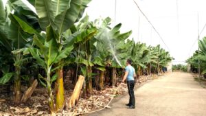 IMG_20180719_110801_HDR