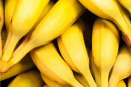 PRODUCTOS